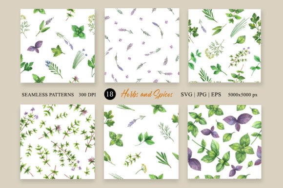 Watercolor Herbs Digital Papers Pack